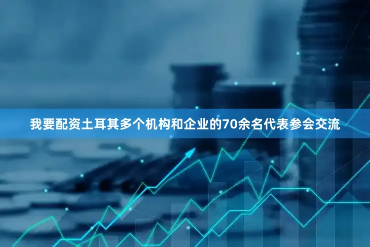我要配资土耳其多个机构和企业的70余名代表参会交流